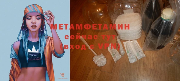 дмт Богданович