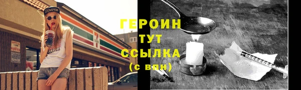 гидра Богородицк
