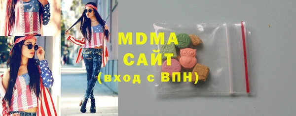 гидра Богородицк