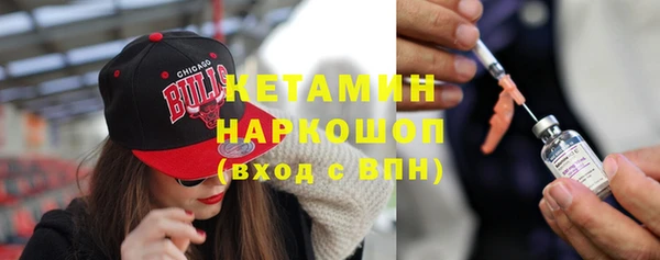 дмт Богданович
