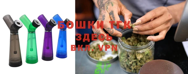 гидра Богородицк