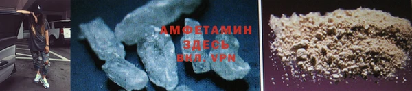 гидра Богородицк