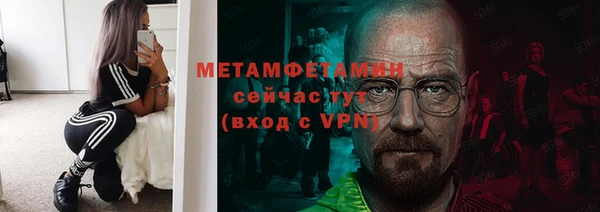 гидра Богородицк