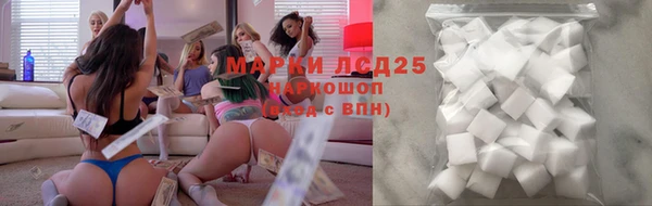 дмт Богданович