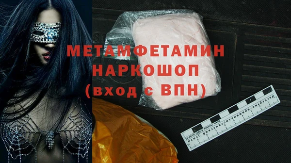 гидра Богородицк