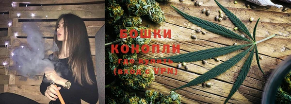 дмт Богданович