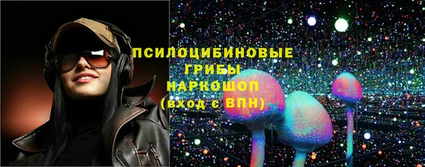 дмт Богданович