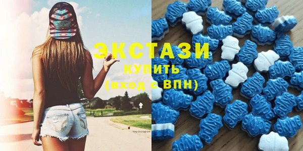 гидра Богородицк
