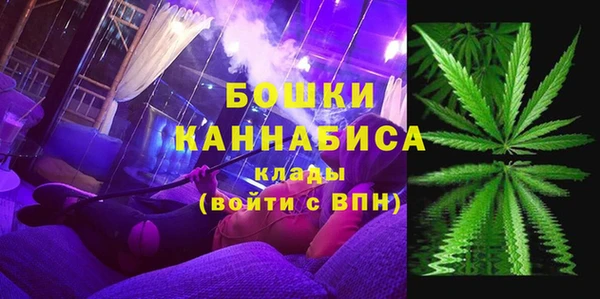 дмт Богданович