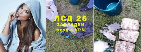 дмт Богданович