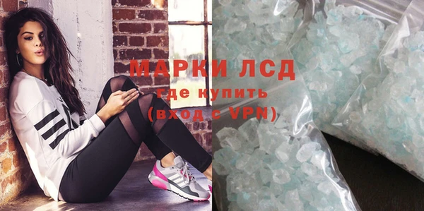 гидра Богородицк