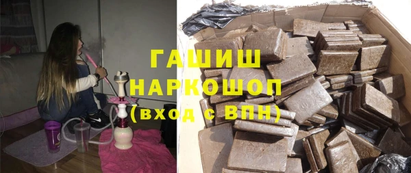 гидра Богородицк