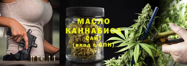 гидра Богородицк