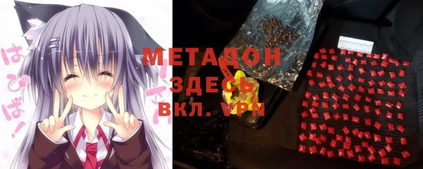 дмт Богданович
