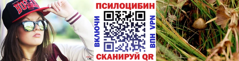 Галлюциногенные грибы GOLDEN TEACHER что такое Ставрополь